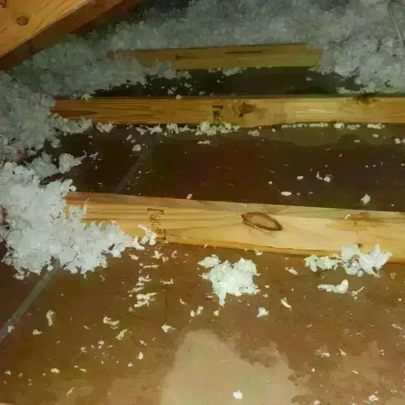 Attic Water Damage in Madison County, VA