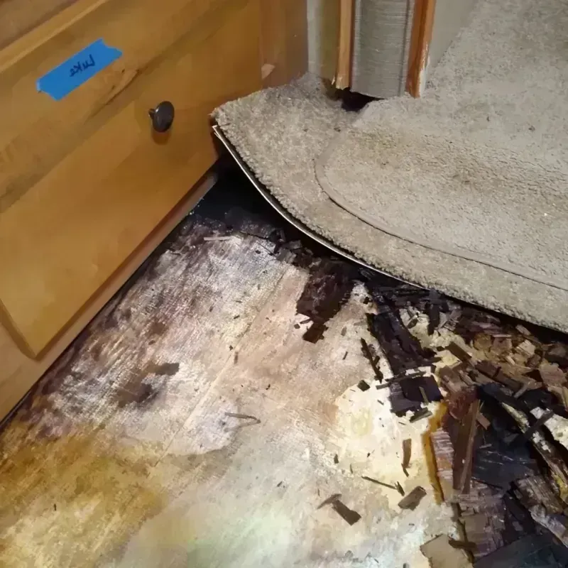 Wood Floor Water Damage in Madison County, VA